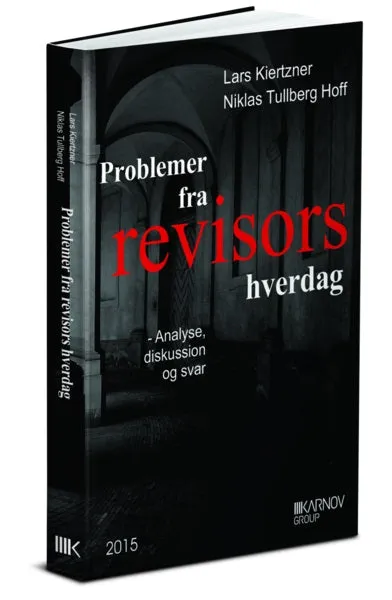 Problemer fra revisors hverdag